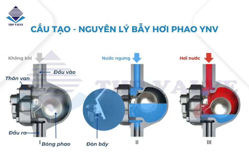 cấu tạo và nguyên lý hoạt động của bẫy hơi phao ynv