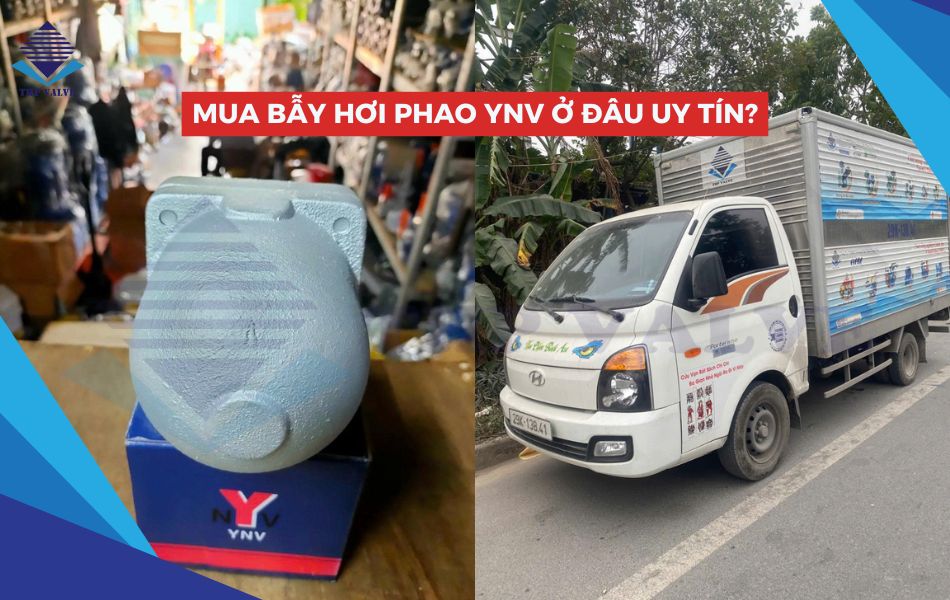 địa chỉ mua bẫy hơi phao ynv đáng tin cậy