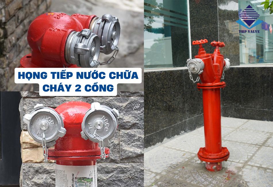 Ứng dụng của họng tiếp nước chữa cháy 2 cổng