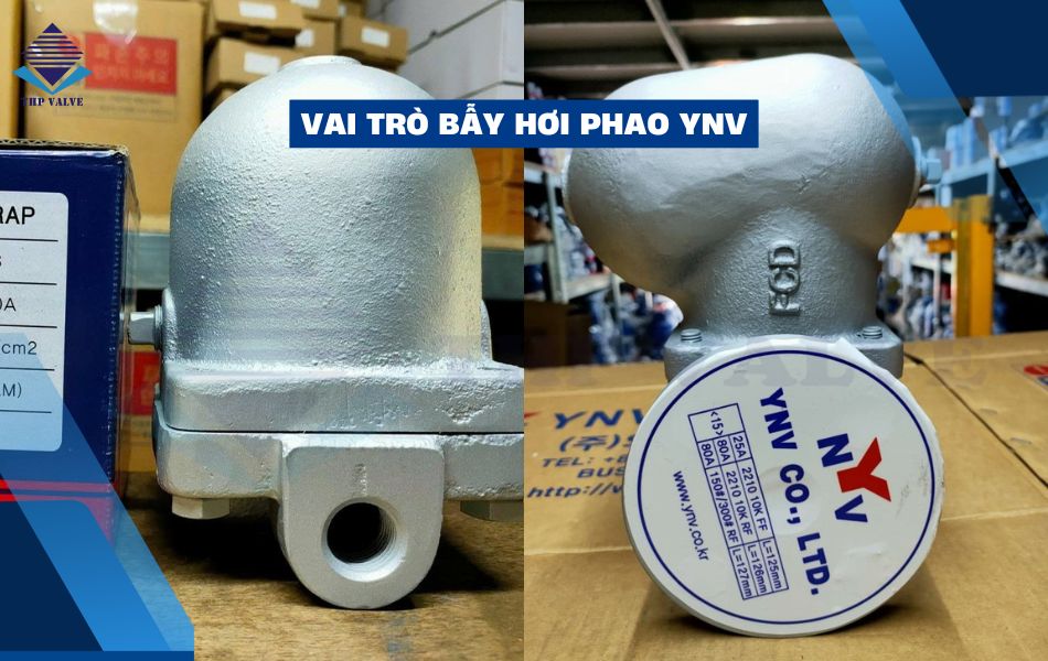 vai trò quan trọng của bẫy hơi phao ynv