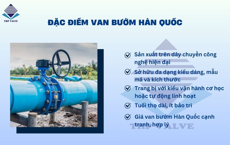 đặc điểm van bướm hàn quốc