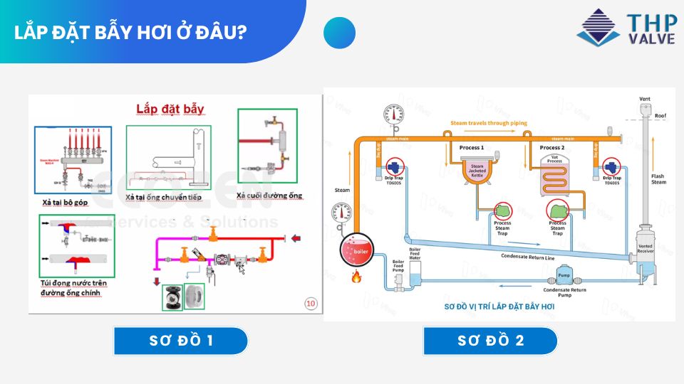 lắp đặt bẫy hơi ở đâu