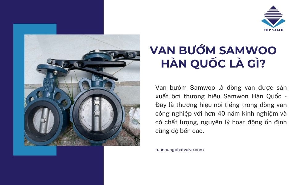 van bướm samwoo hàn quốc