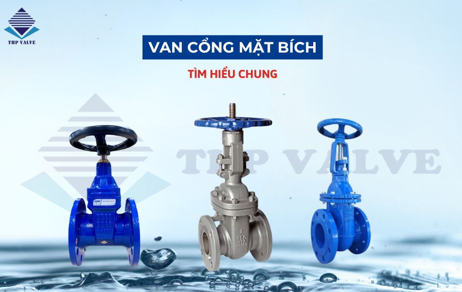 giới thiệu về van cổng mặt bích