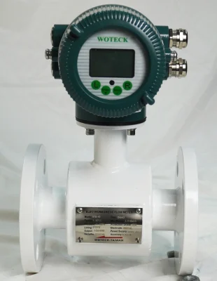 Đồng hồ nước điện tử Woteck - Tuấn Hưng Phát
