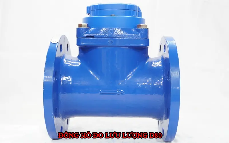 Hình ảnh đồng hồ đo lưu lượng Dn80