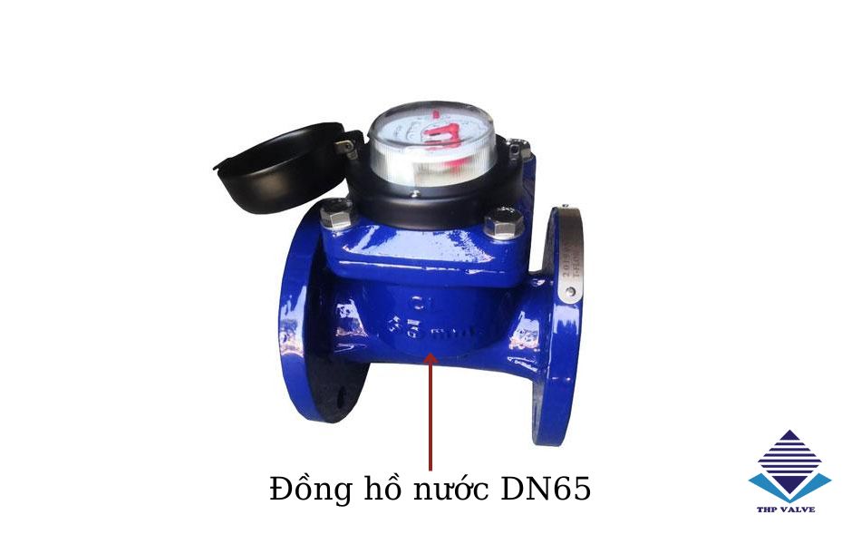 Đồng hồ nước Dn65