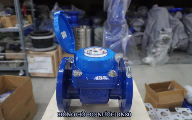 Đồng hồ nước DN80