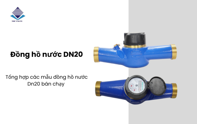 Đồng hồ đo nước DN20