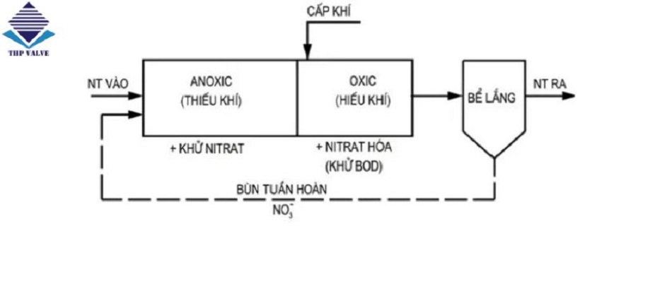 Mô hình hệ thống xử lý nước thải từ hoạt động sinh hoạt thường ngày