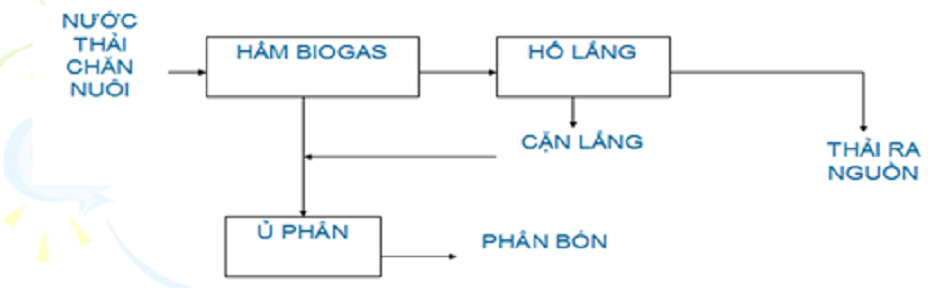 quy-trinh-xu-ly-nuoc-thai-chan-nuoi-co-so-nho