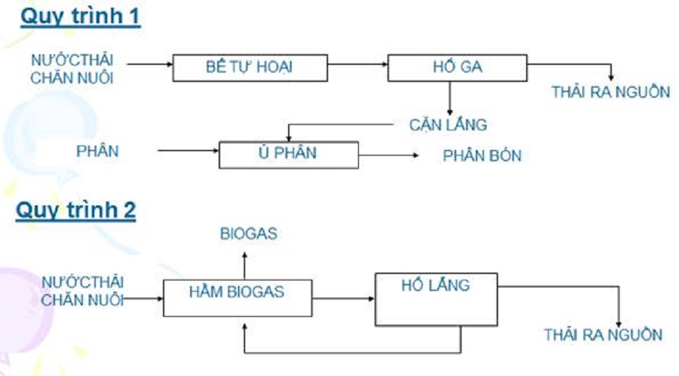 quy-trinh-xu-ly-nuoc-thai-chan-nuoi-ho-gia-dinh