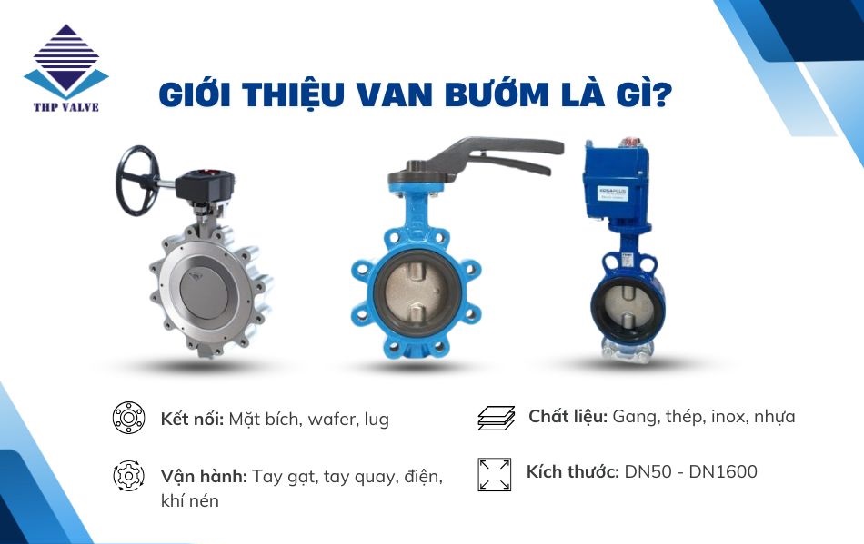 van bướm là gì