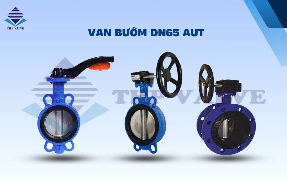 van bướm aut dn65
