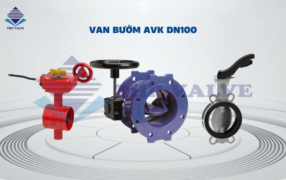 van bướm dn100 avk