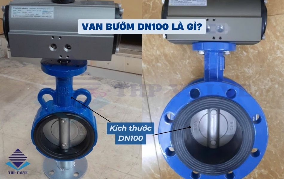 van bướm dn100 là gì