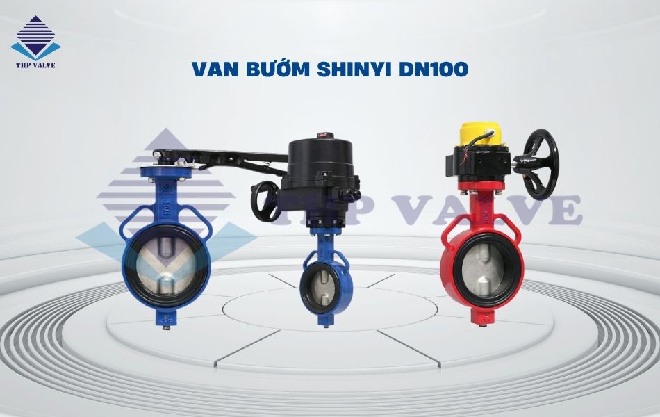van bướm dn100 shinyi