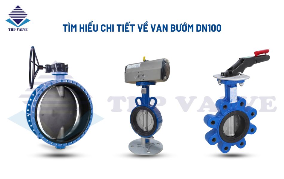 van bướm dn100
