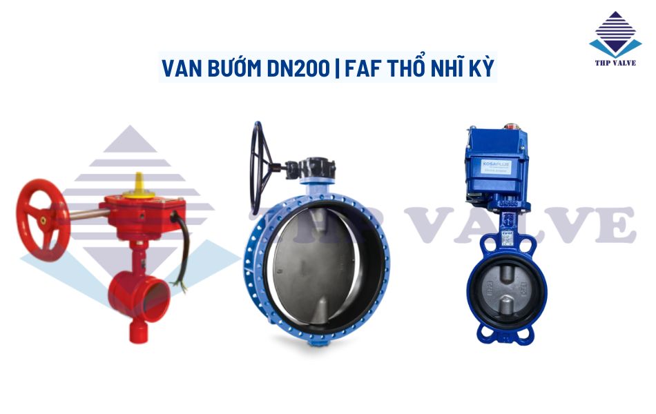 van bướm dn200 faf thổ nhĩ kỳ