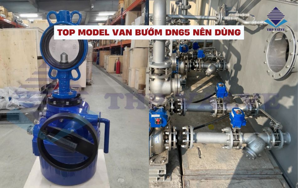 van bướm dn65