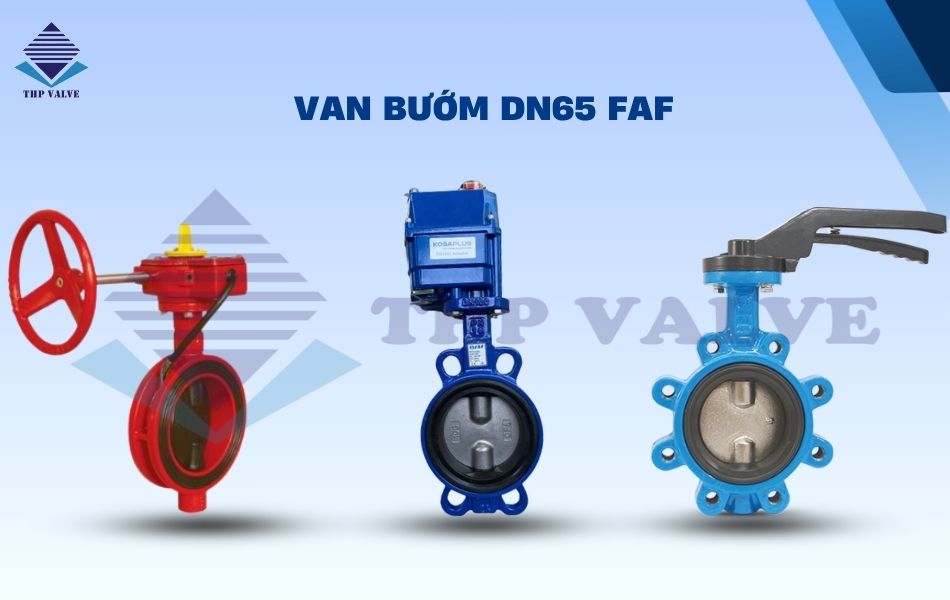van bướm faf dn65