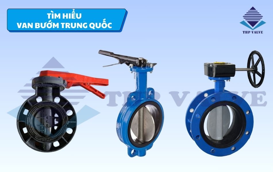 van bướm trung quốc