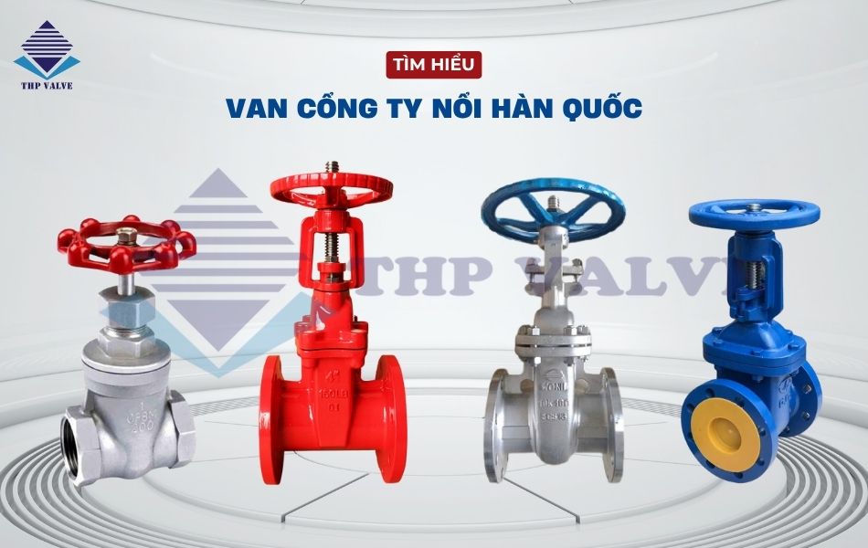 van cổng ty nổi hàn quốc