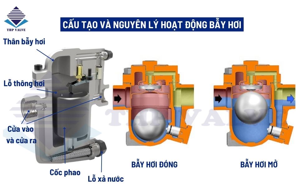 cấu tạo và nguyên lý hoạt động bẫy hơi