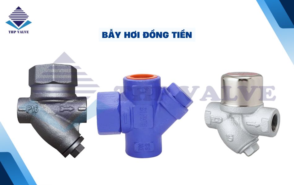 bẫy hơi đồng tiền
