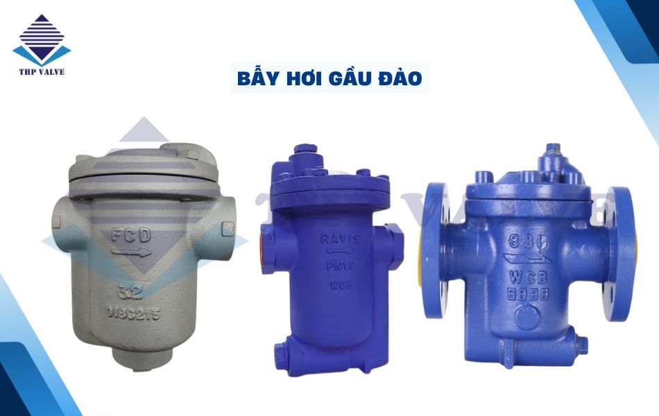 bẫy hơi gầu đảo