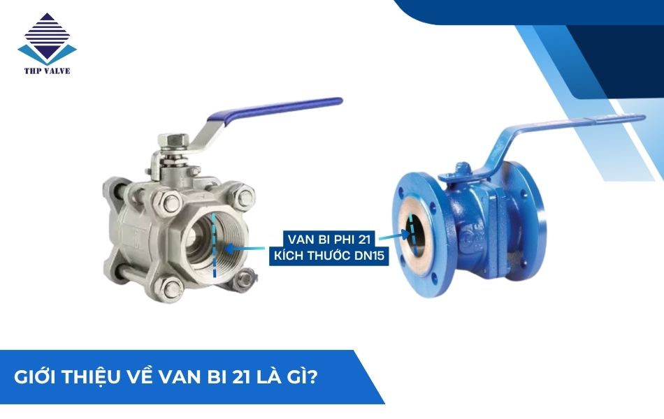 tìm hiểu chi tiết van bi 21