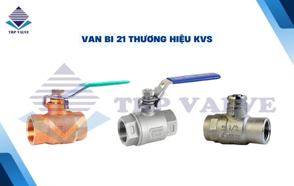 van bi 21 kvs