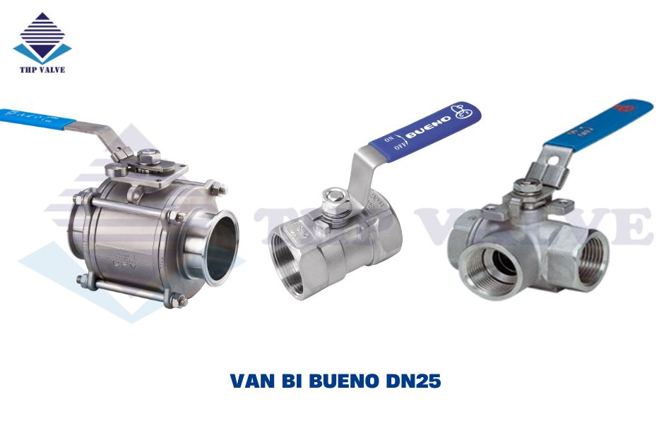 van bi dn25 bueno
