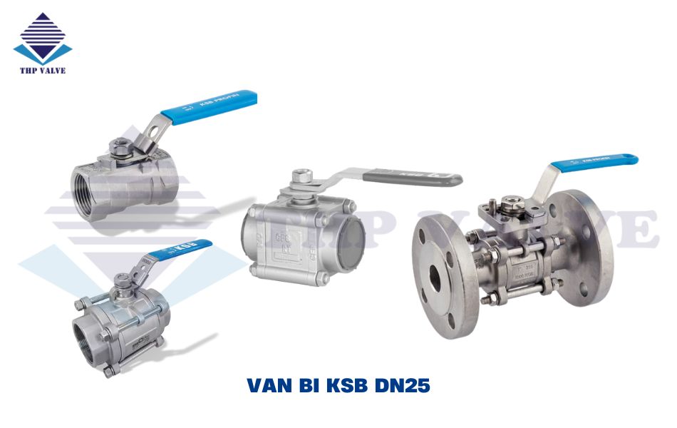 van bi dn25 ksb
