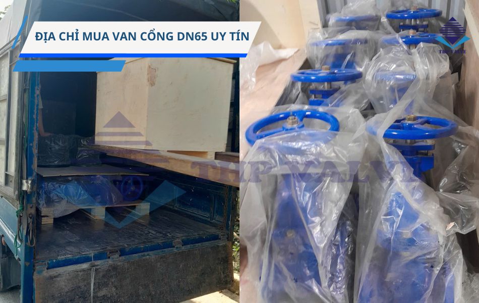 địa chỉ mua van cổng dn65 chính hãng