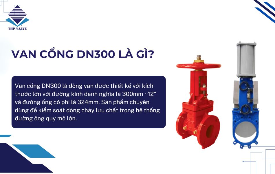 giới thiệu van cổng dn300