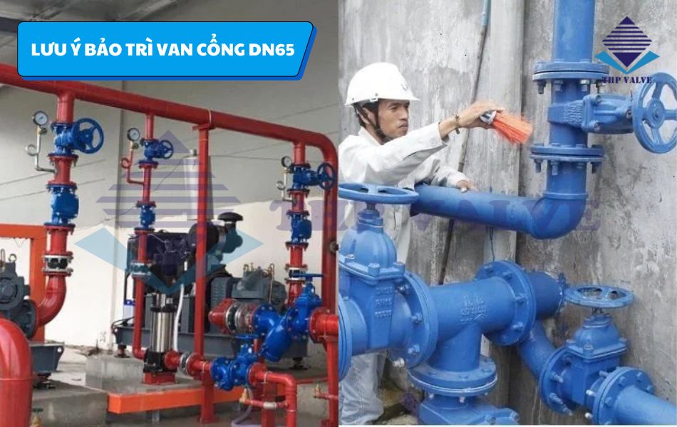 lưu ý bảo trì van cổng dn65 hiệu quả