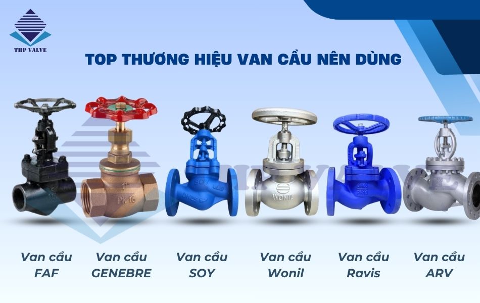 top các dòng van cầu không nên bỏ qua