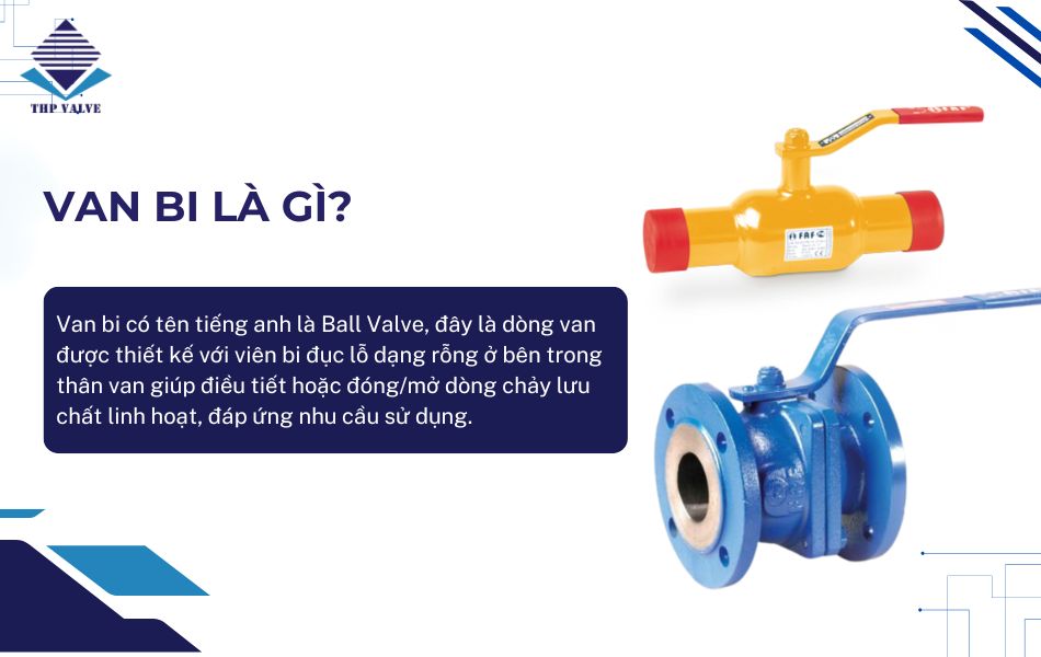 van bi là gì