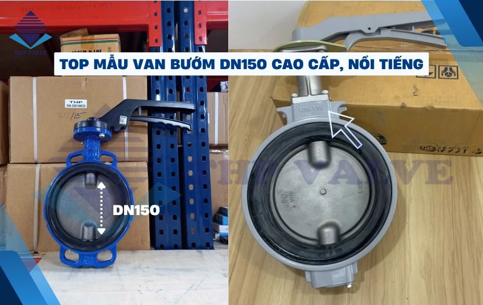 van bướm dn150