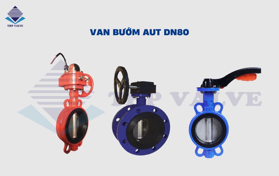 van bướm dn80 aut