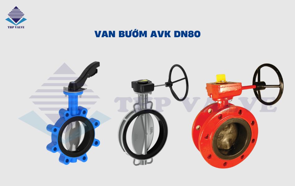 van bướm dn80 avk