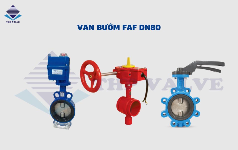 van bướm dn80 faf