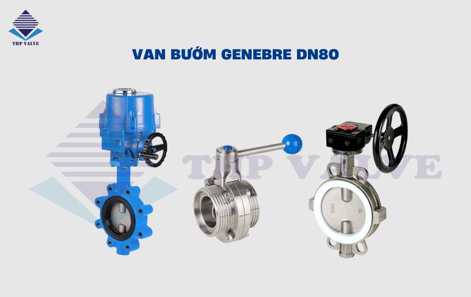 van bướm dn80 genebre