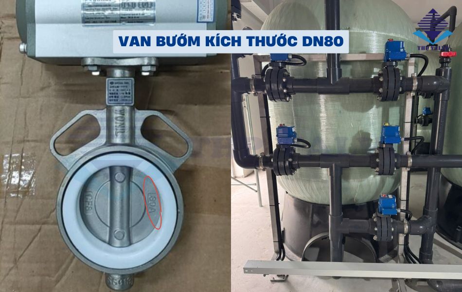 van bướm dn80 là gì