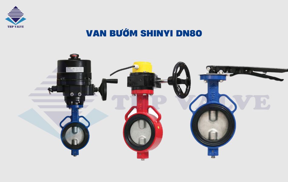 van bướm dn80 shinyi
