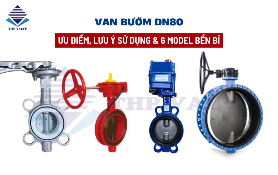 van bướm dn80