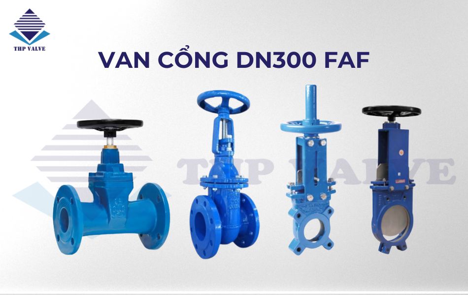 van cổng dn300 thương hiệu faf