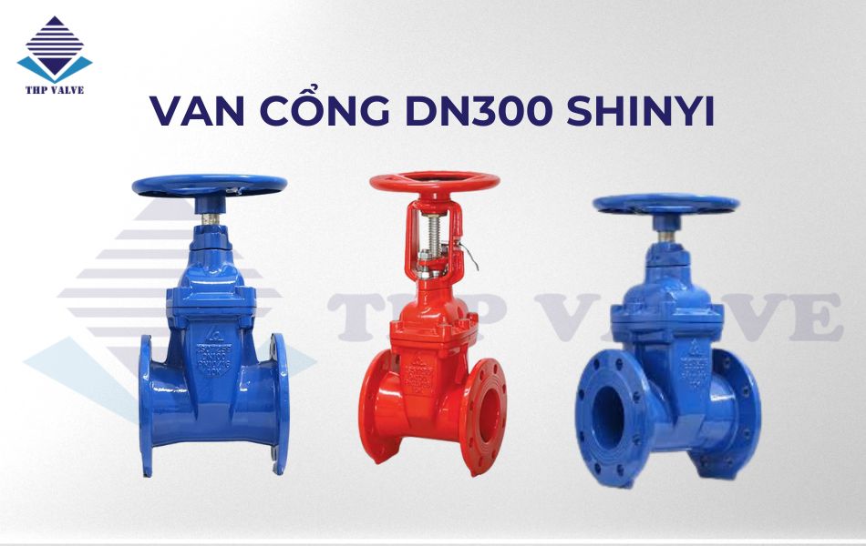 van cổng dn300 thương hiệu shinyi