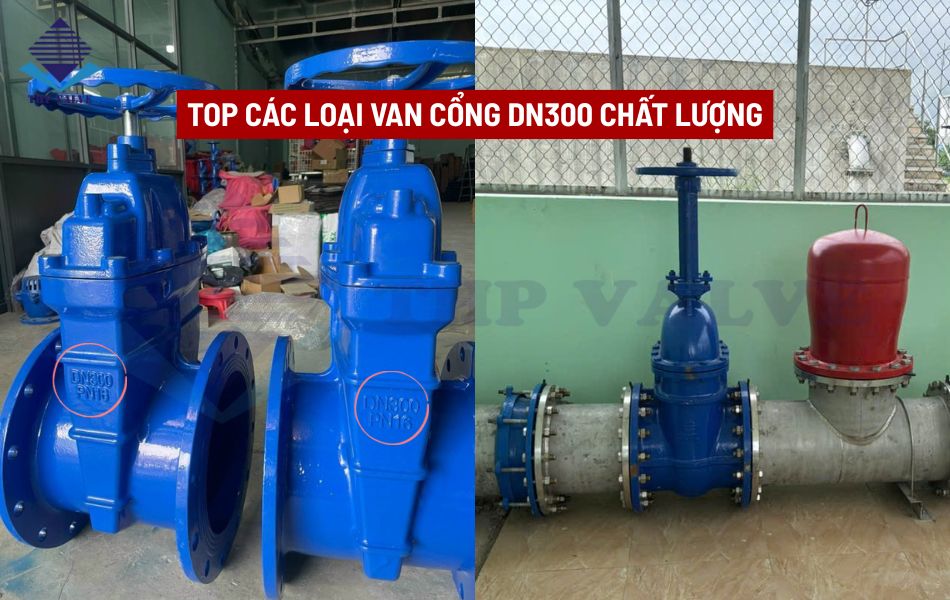 van cổng dn300